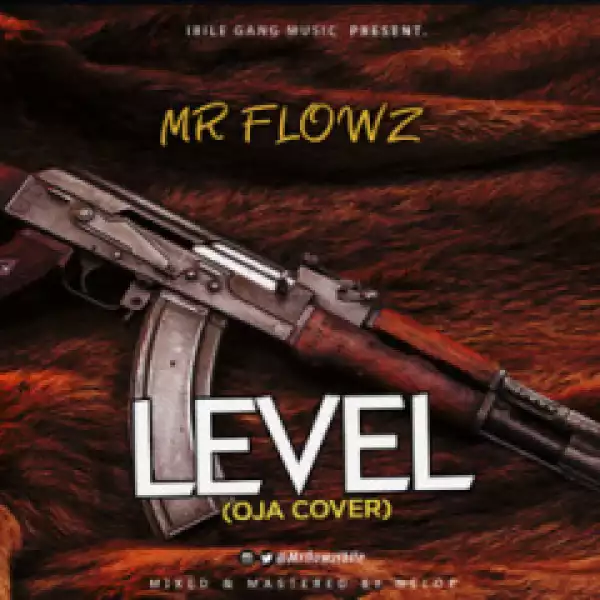 Mr Flowz - Level (Reminisce Oja Cover)